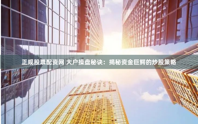 正规股票配资网 大户操盘秘诀：揭秘资金巨鳄的炒股策略