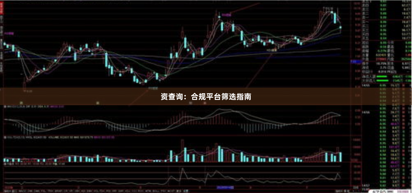 资查询：合规平台筛选指南